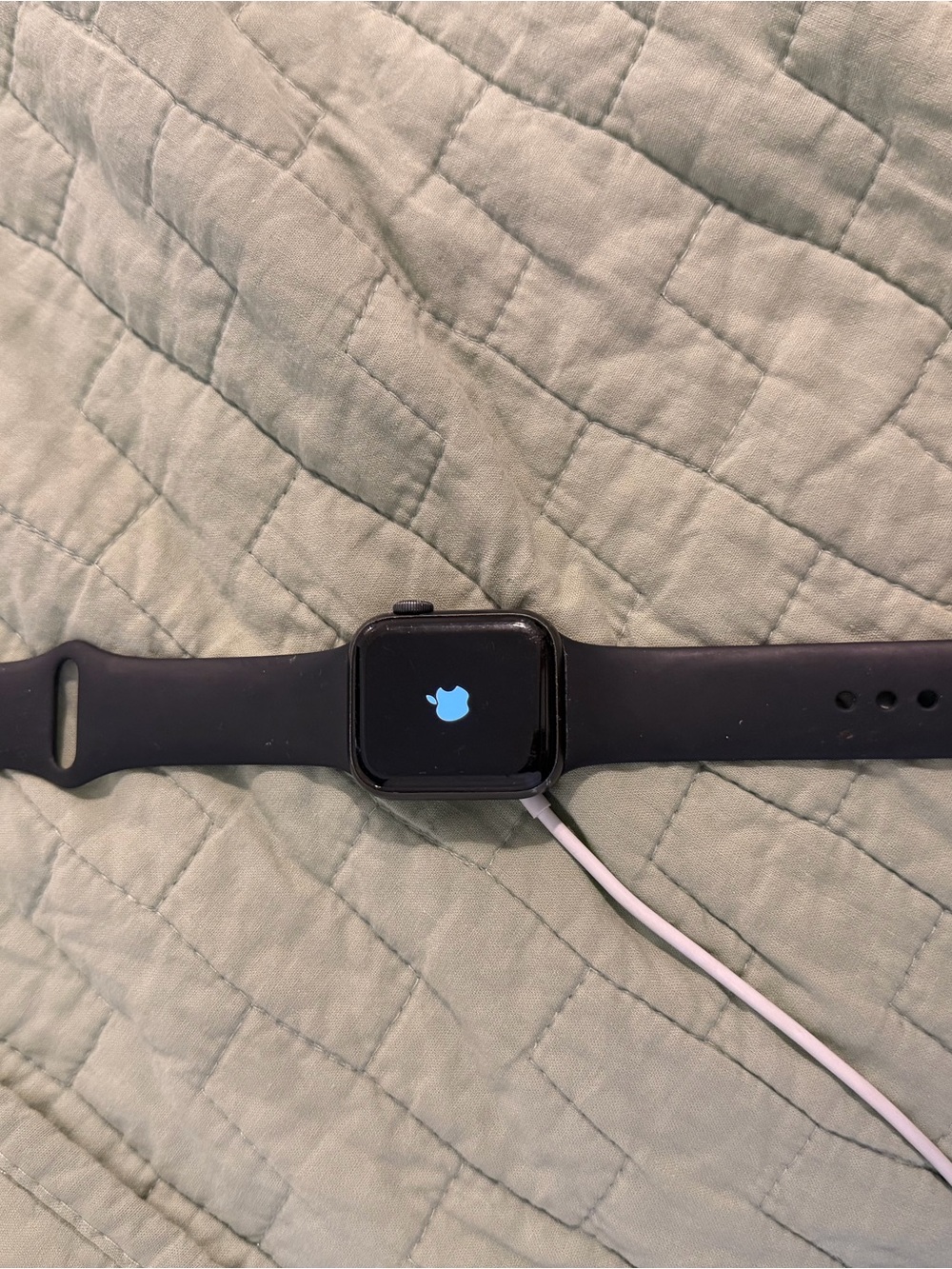 Apple Watch SE 40mm with Black Silicone Band